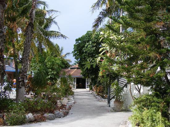 Turtle Cove Inn Bagian luar foto